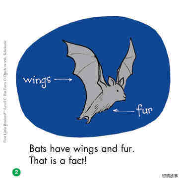 Bat Facts绘本故事第3页