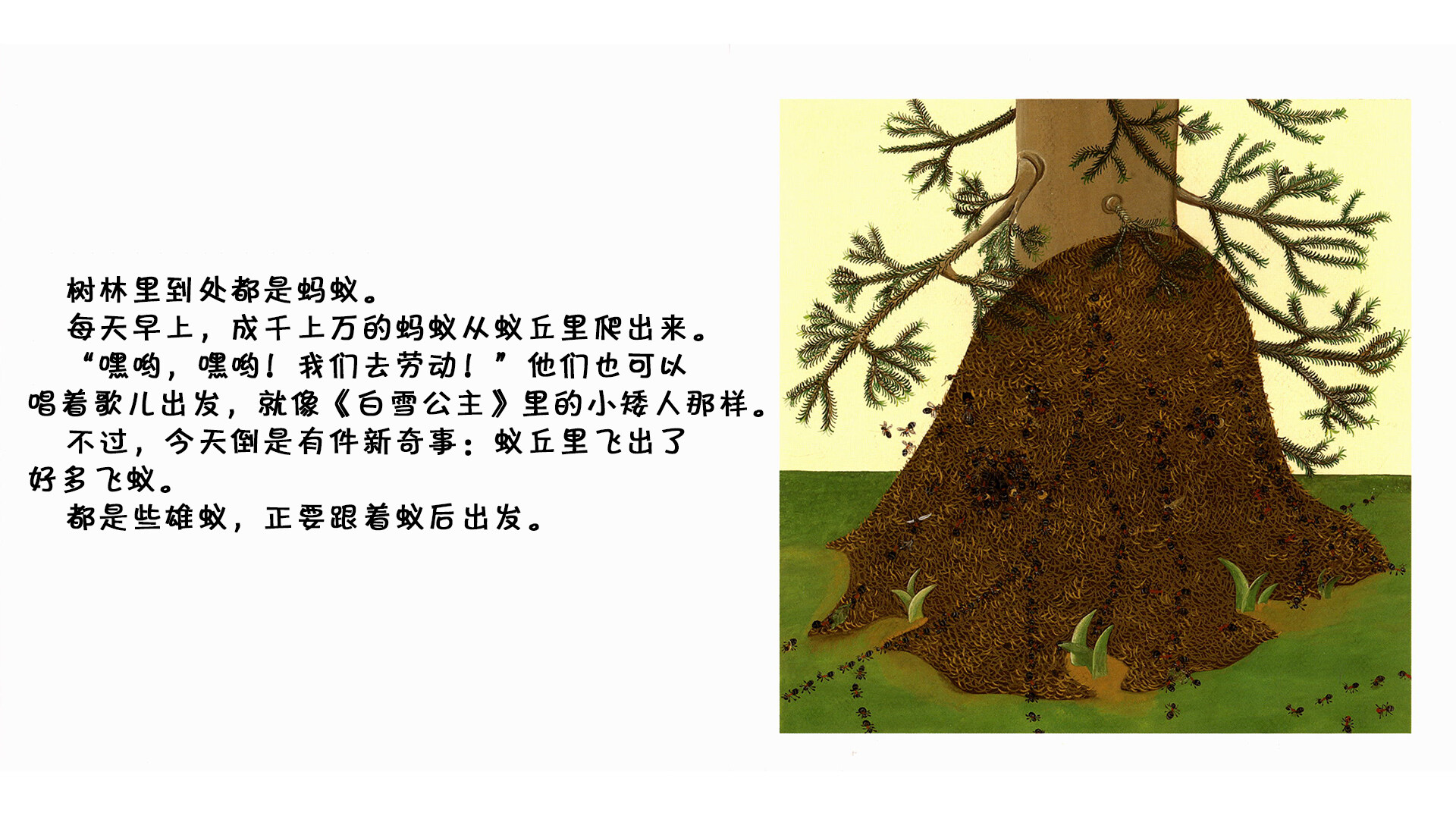 蚂蚁绘本故事第3页
