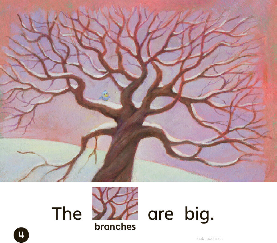 GK Approach U05W2 The Tree绘本故事第5页