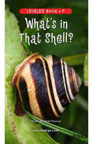 What's In That Shell