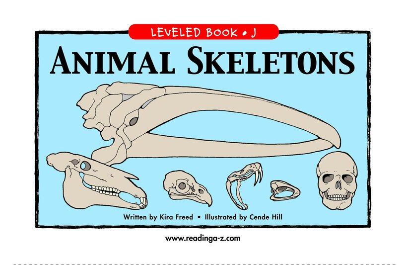Animal Skeletons绘本故事第2页