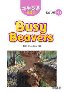 Busy Beavers