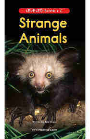 Strange Animals
