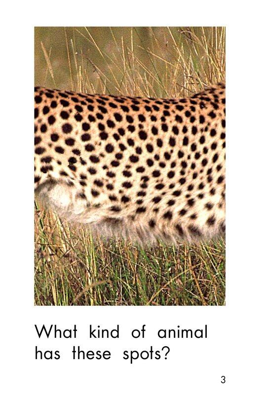 What Has These Spots绘本故事第3页