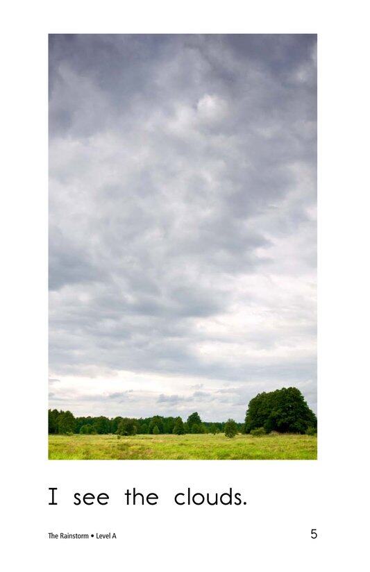 The Rainstorm绘本故事第5页