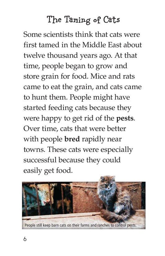 The History of House Cats绘本故事第5页