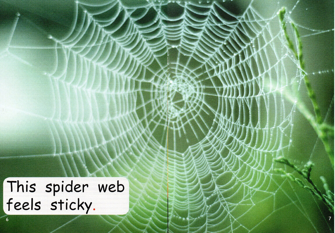 what feels sticky？绘本故事第5页