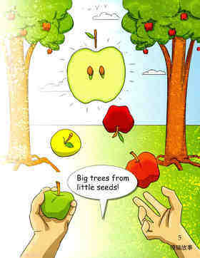 One Little Seed, One Big Tree绘本故事第3页