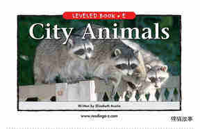 City Animals