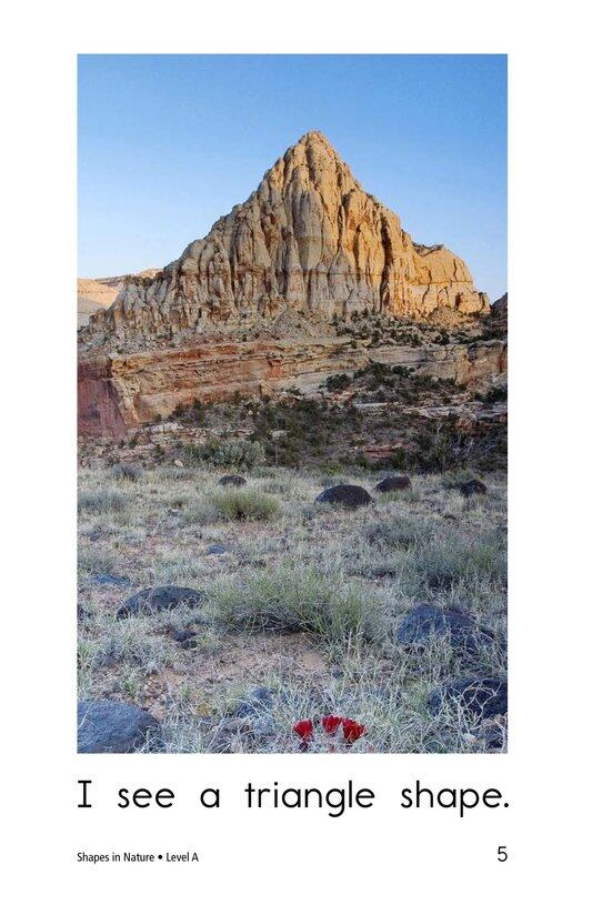 Shapes in Nature绘本故事第5页