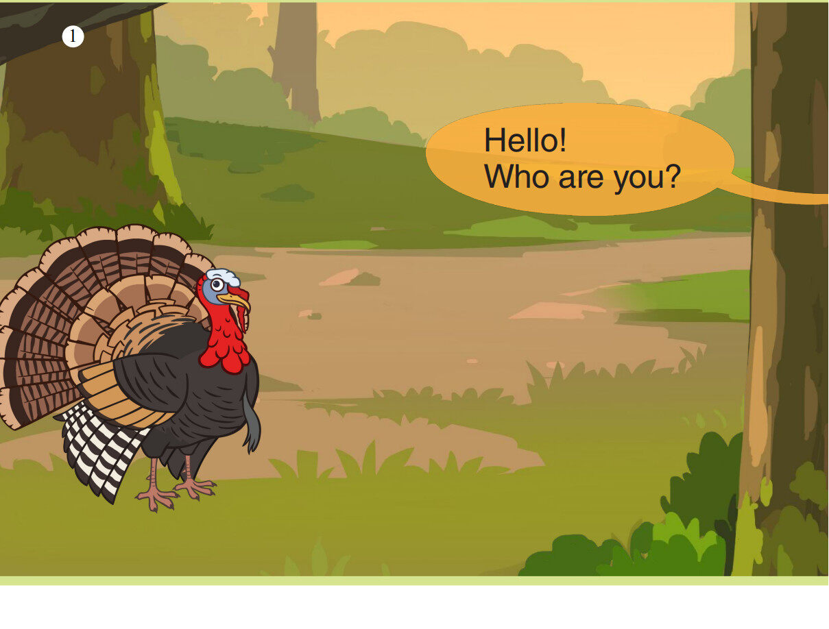 Wild Turkey绘本故事第2页