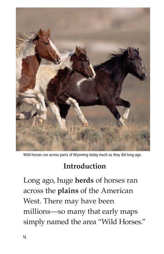 Wild Horses绘本故事第3页