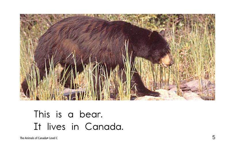 The Animals of Canada绘本故事第5页