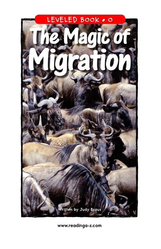 The Magic of Migration绘本故事第2页