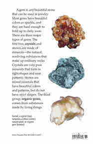 Gems Treasures from the Earth绘本故事第4页