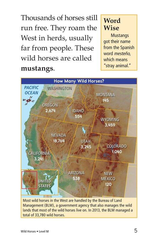 Wild Horses绘本故事第4页