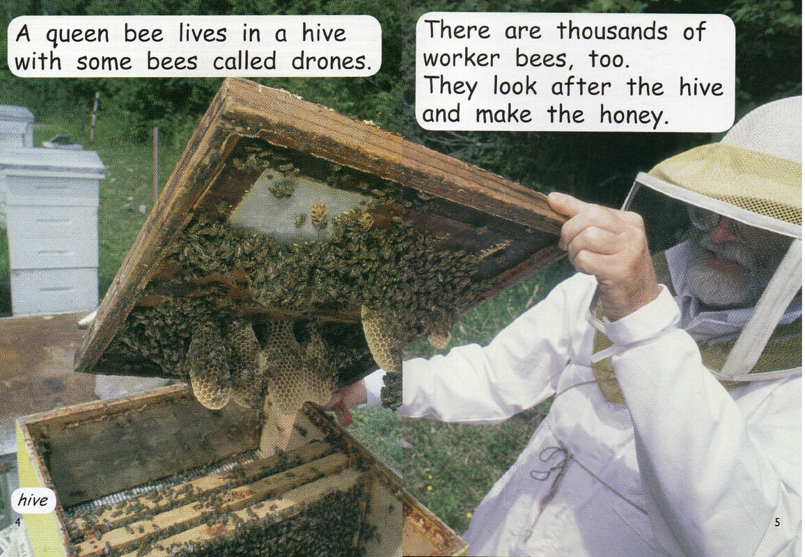 making honey绘本故事第4页