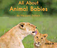 All about animal babies绘本故事第2页