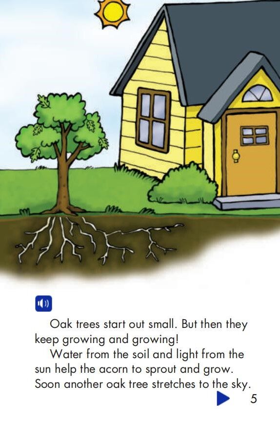 Oak Trees绘本故事第5页