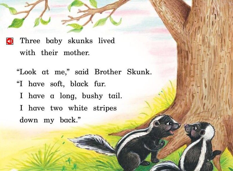 The skunk with No stripes绘本故事第3页