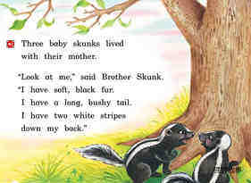 The skunk with No stripes绘本故事第3页