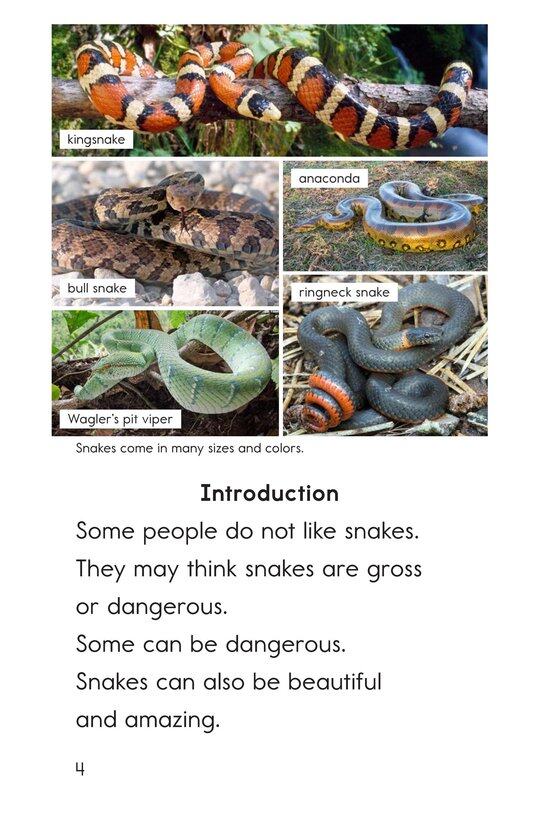 All About Snakes绘本故事第3页