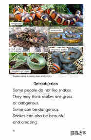 All About Snakes绘本故事第3页