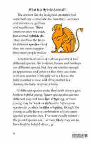 Hybrid Animals绘本故事第3页