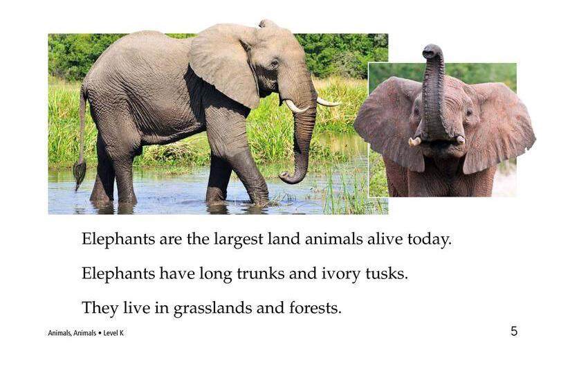 Animals,Animals绘本故事第5页