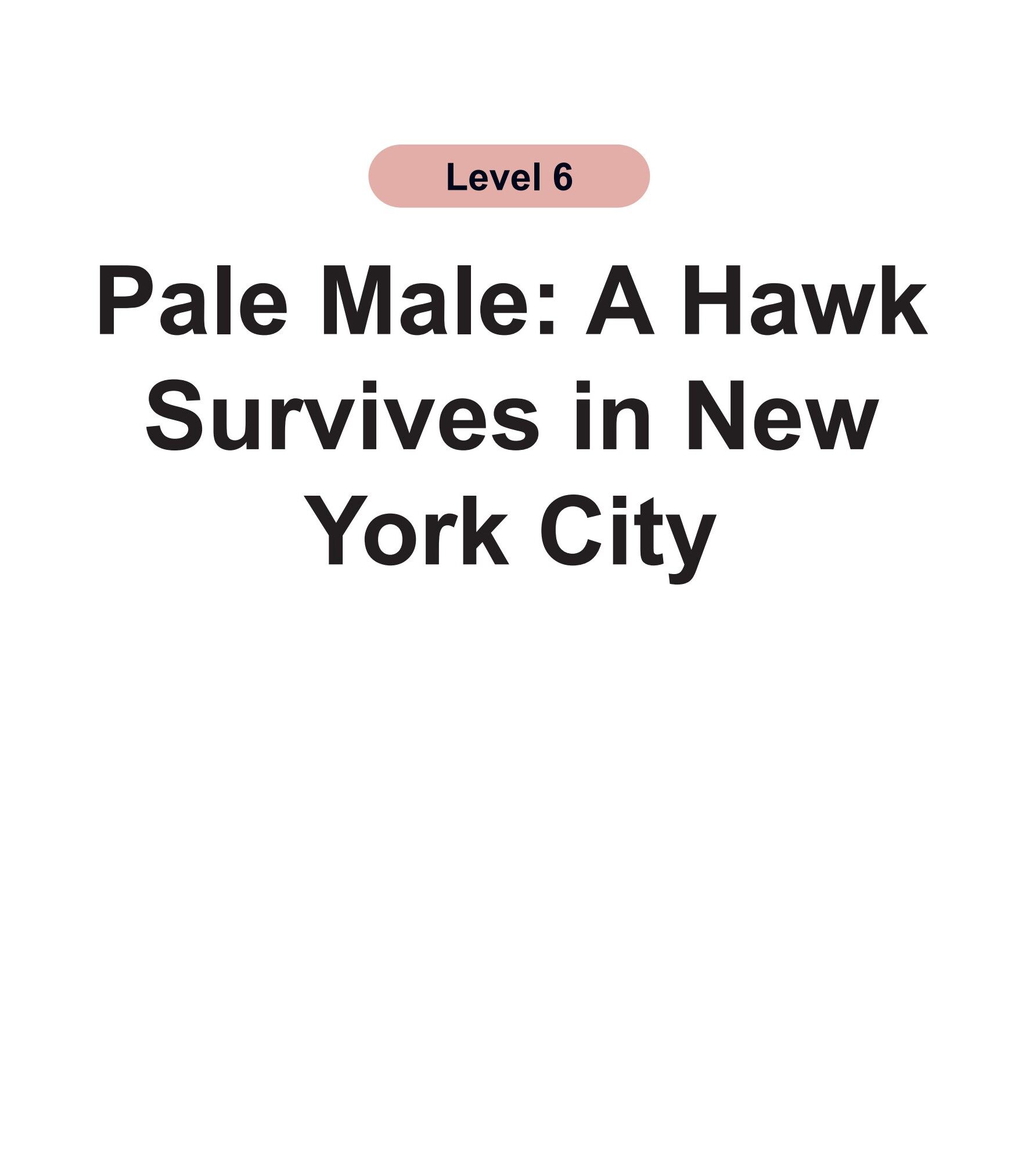 Pale Male：A Hawk Survives in New York City绘本故事第2页