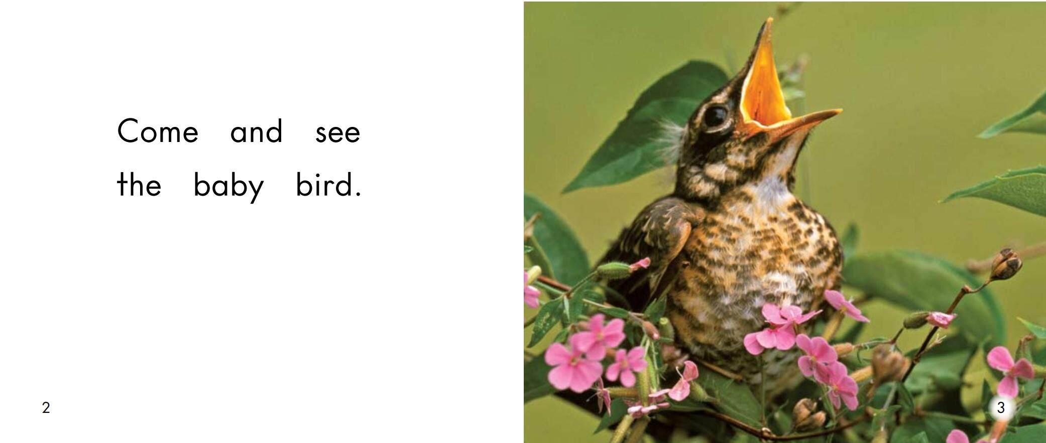 The baby animals绘本故事第3页