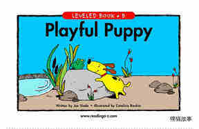 Playful Puppy