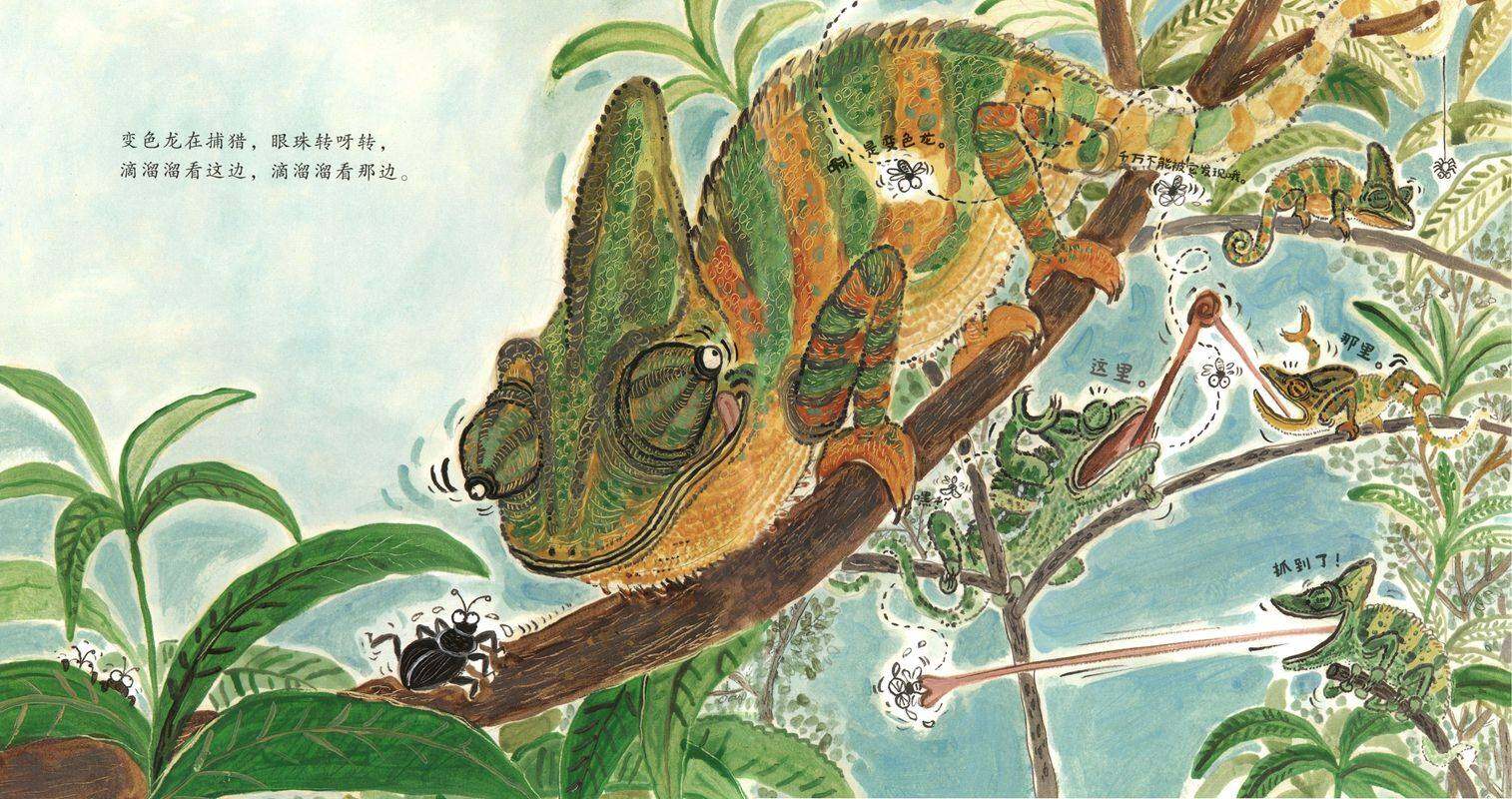 小动物教我做运动绘本故事第3页