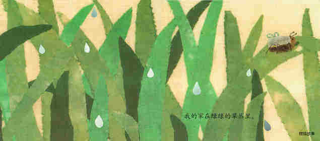 家绘本故事第3页