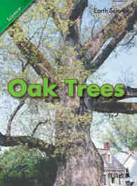 Oak Trees