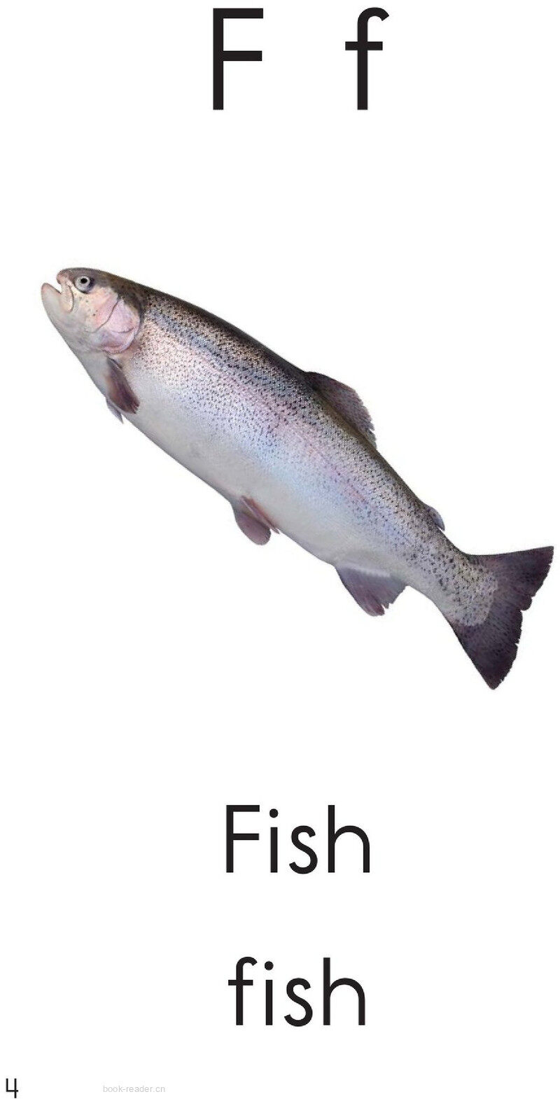 Letter F绘本故事第4页
