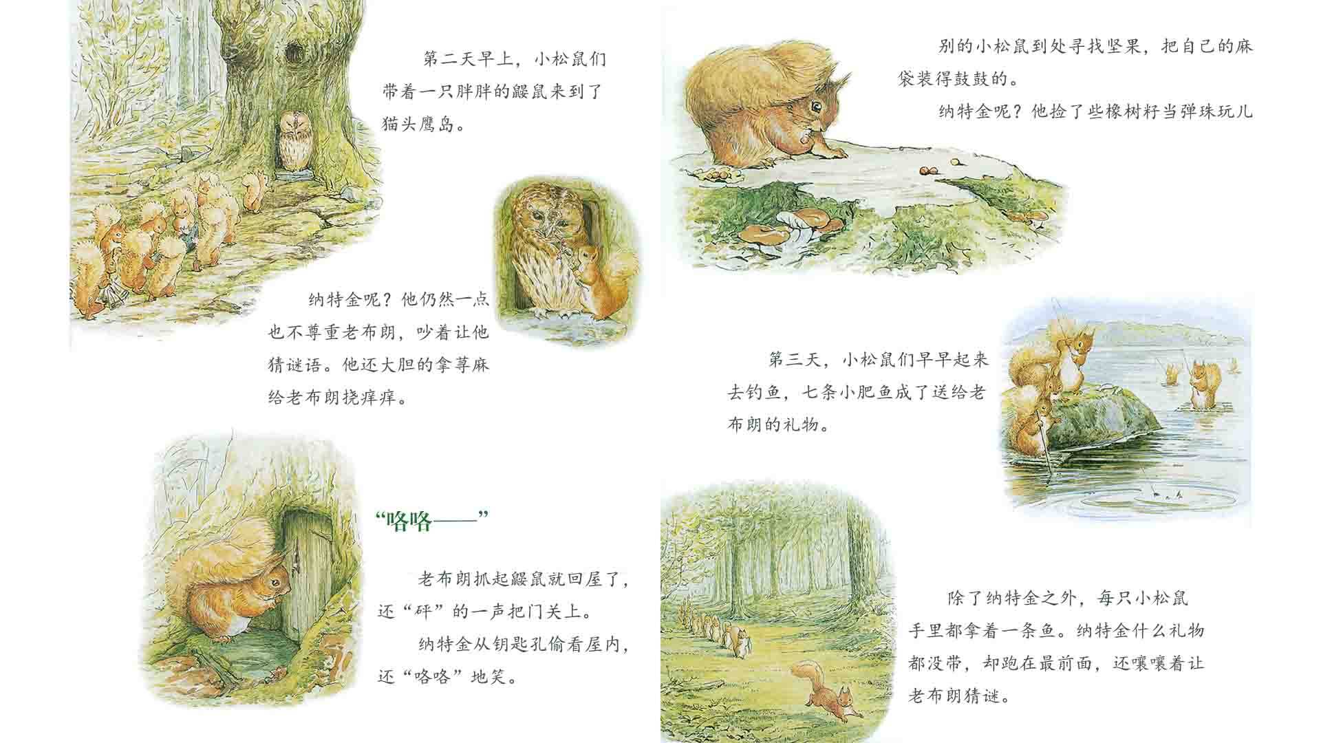 小松鼠纳特金绘本故事第5页