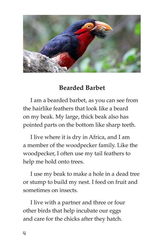 Weird Bird Beaks绘本故事第3页