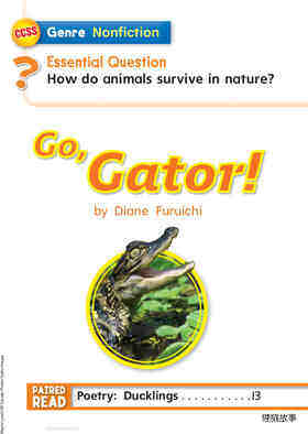 G1 On U4W3 Go, Gator!绘本故事第3页