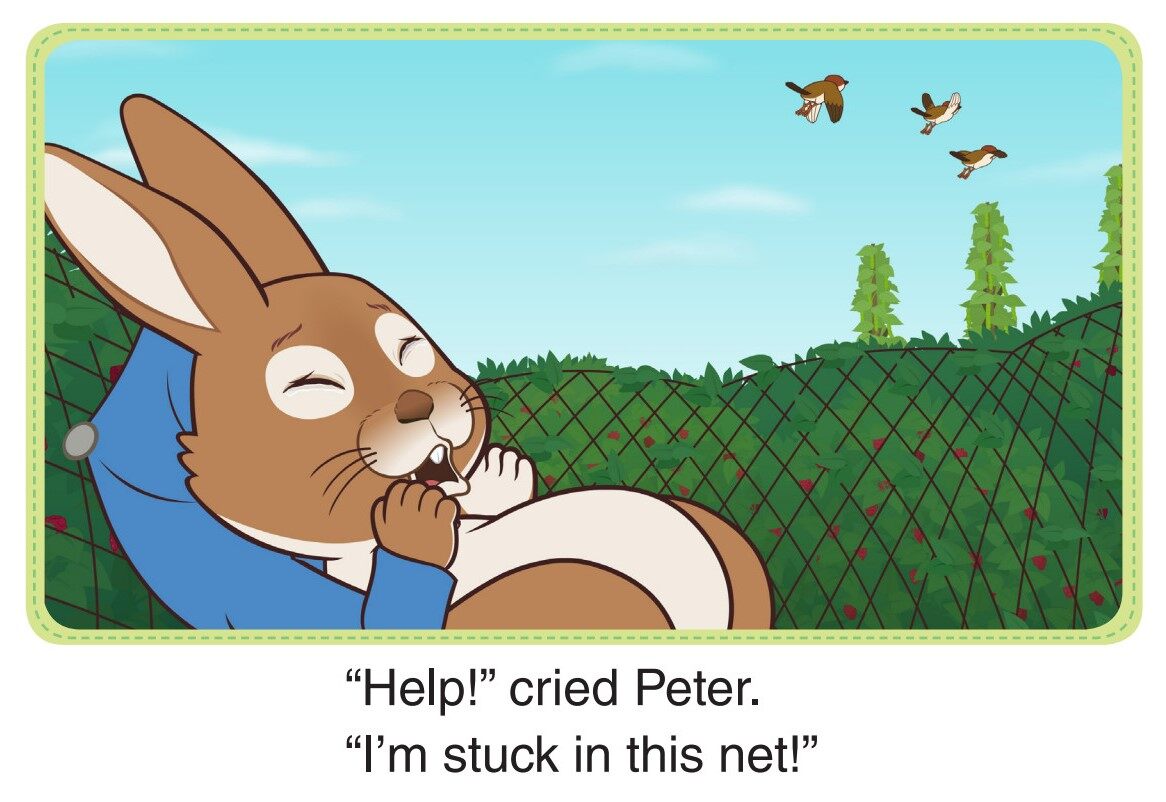 The Chase绘本故事第2页