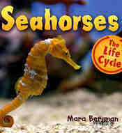 Seahourses