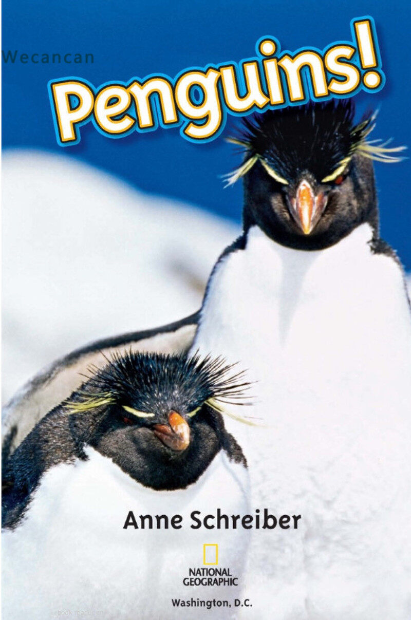Penguins绘本故事第2页