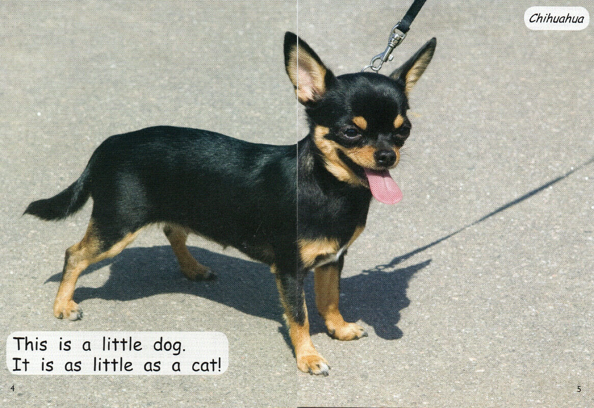 different dogs绘本故事第4页