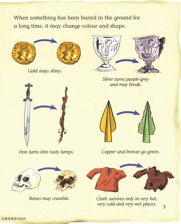 Buried Treasure绘本故事第4页