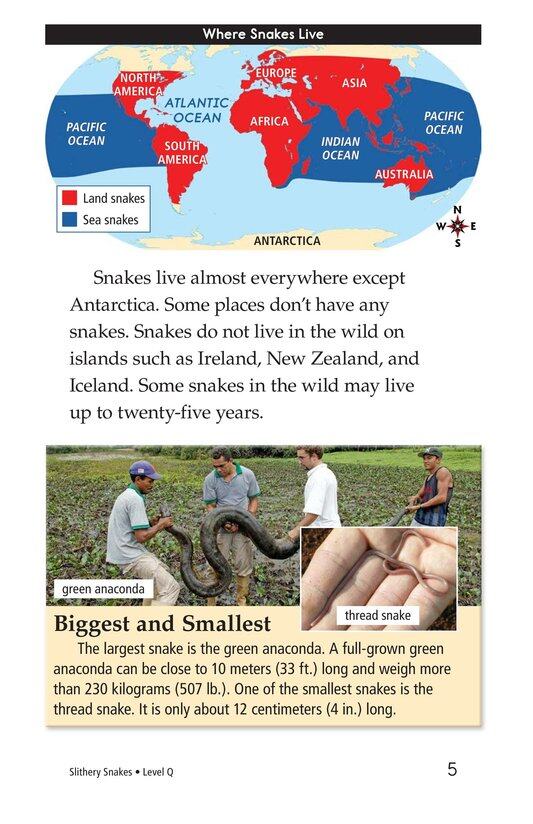 Slithery Snakes绘本故事第4页