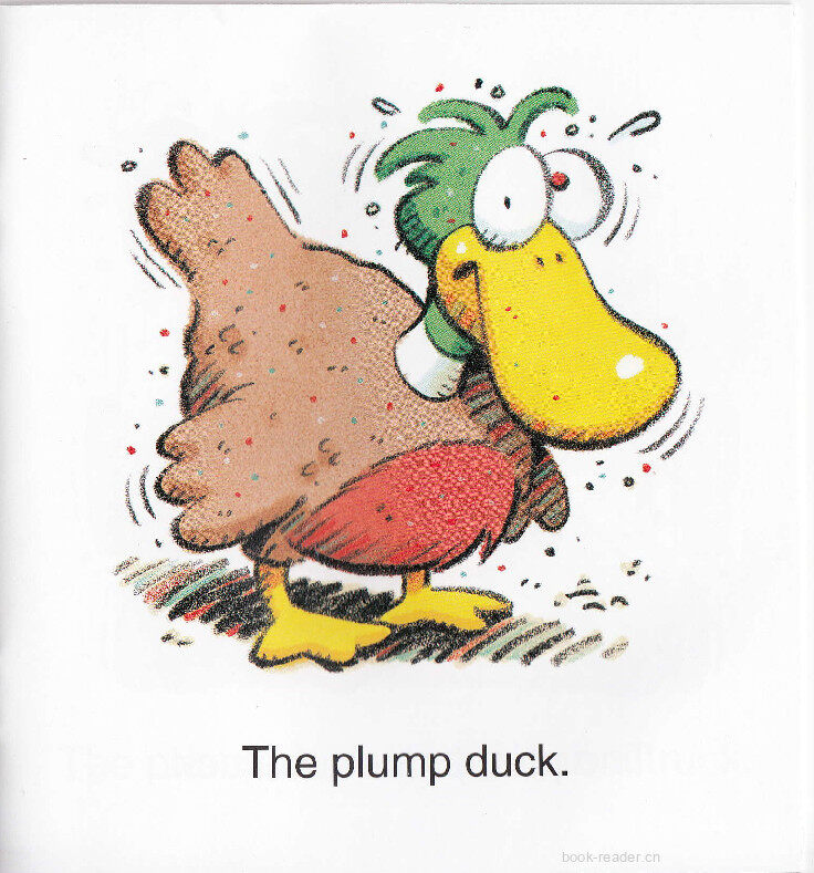 Stuck Duck绘本故事第4页
