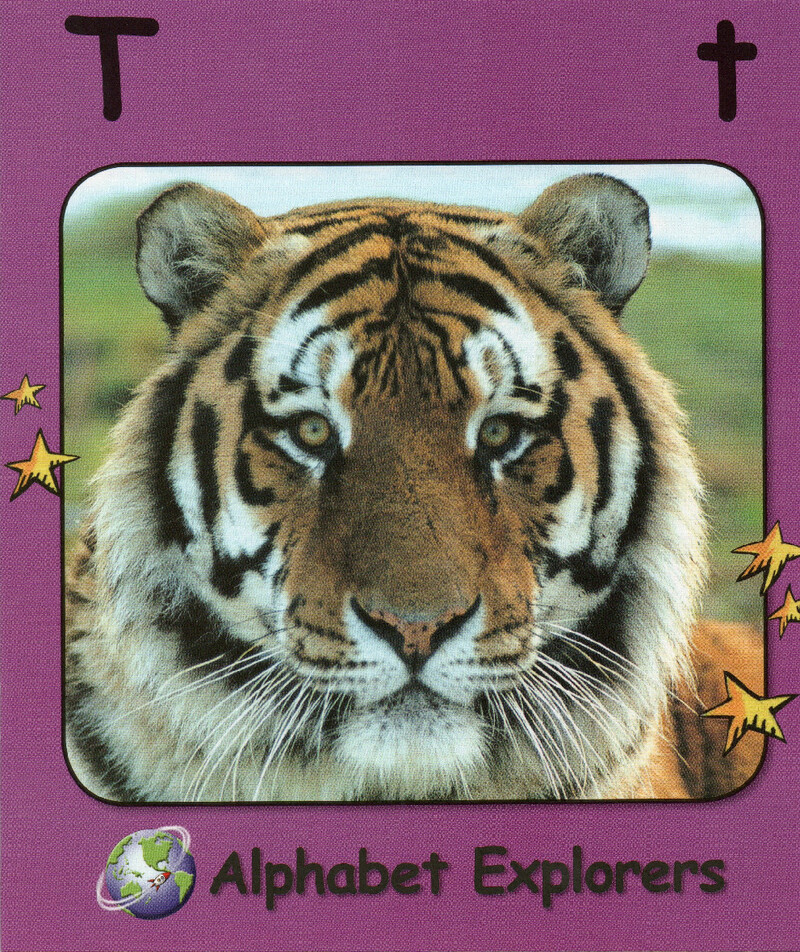 T绘本故事第2页