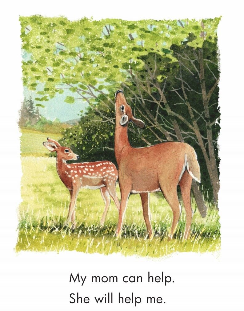 The Fawn绘本故事第4页