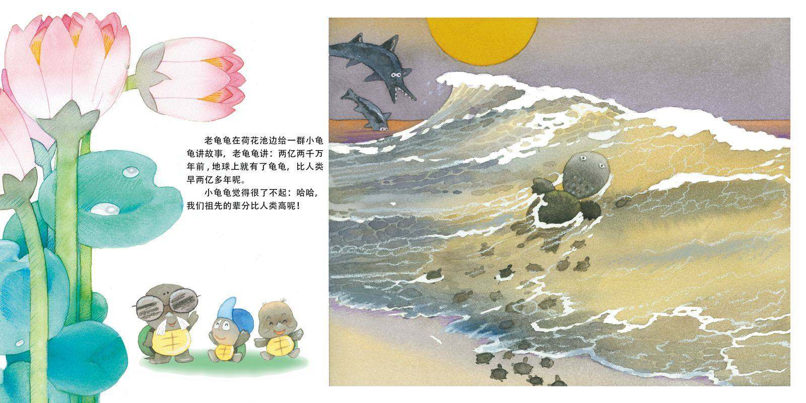 乌龟真神气绘本故事第2页