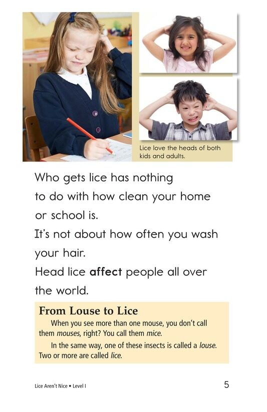 Lice Aren't Nice绘本故事第4页